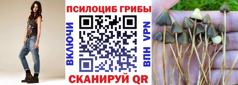 Галлюциногенные грибы MAGIC MUSHROOMS  MEGA как зайти  Кущёвская 