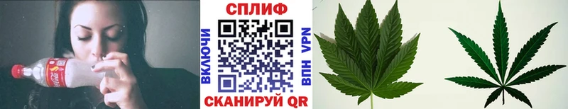 Каннабис SATIVA & INDICA  как найти закладки  Кущёвская 
